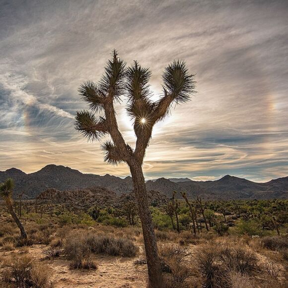 Some Amazing JT sunsets! - Picture 3 of 16